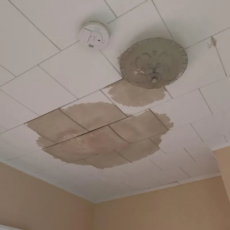Ceiling Water Damage Repair in Union County, OH