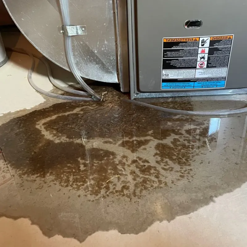 Pipe Burst and Leak Restoration in Union County, OH
