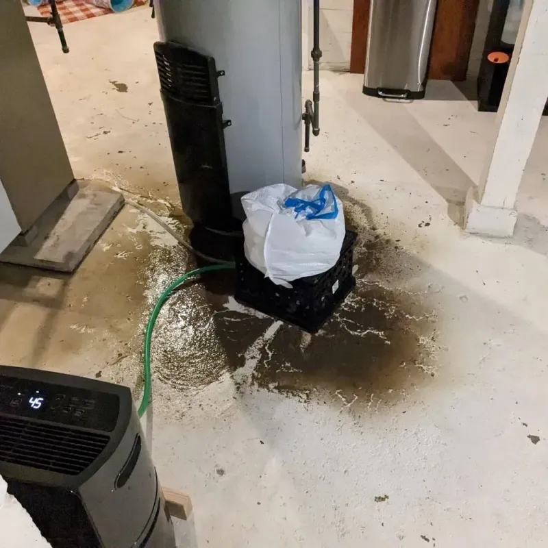 Sewage Backup Cleanup Service in Union County, OH